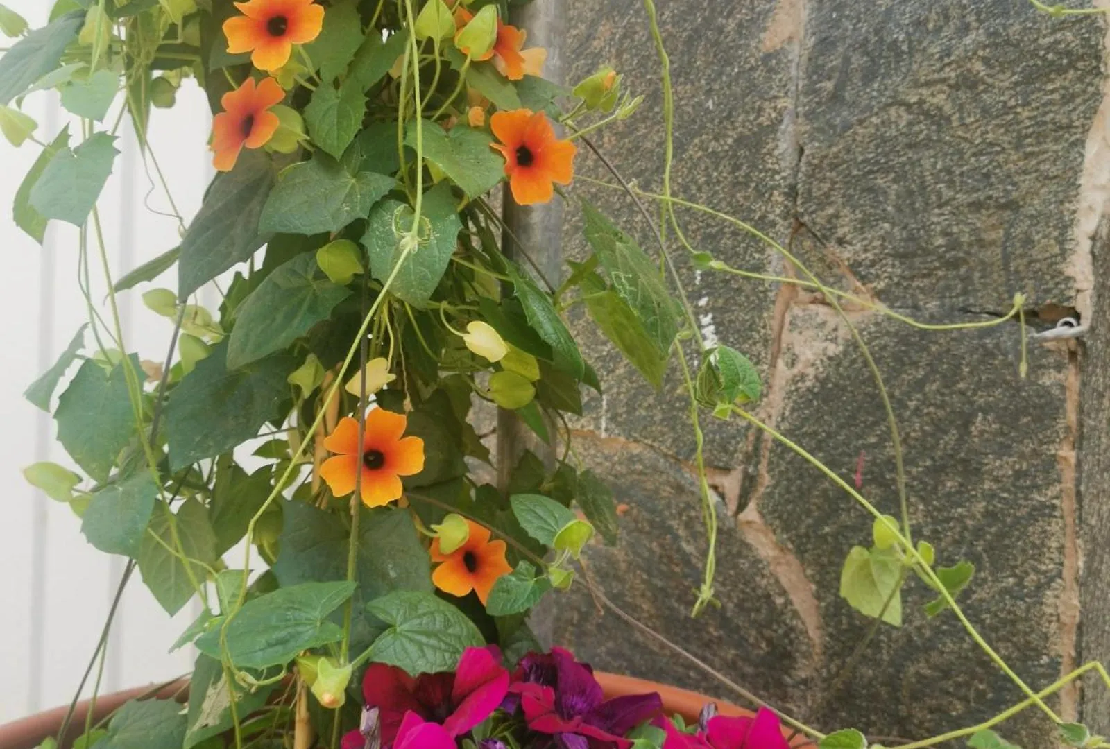 Eden Guesthouse Sardina Guest house
