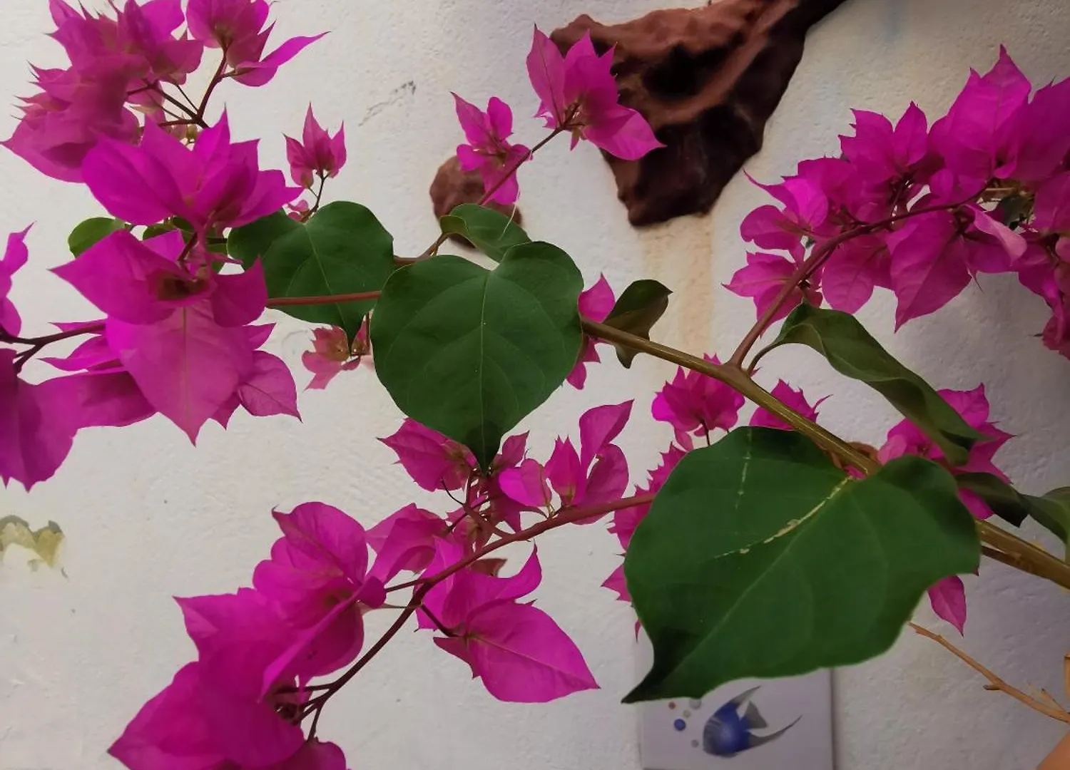 بيت ضيافة Eden Guesthouse Sardina